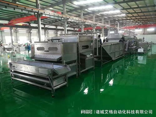 鵪鶉蛋剝殼機(jī)廠家實(shí)力推薦 從技術(shù)革新到服務(wù)保障的全維度解析